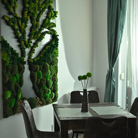Mirvana Apartments Metheor Executive Suite Тимишоара Екстериор снимка