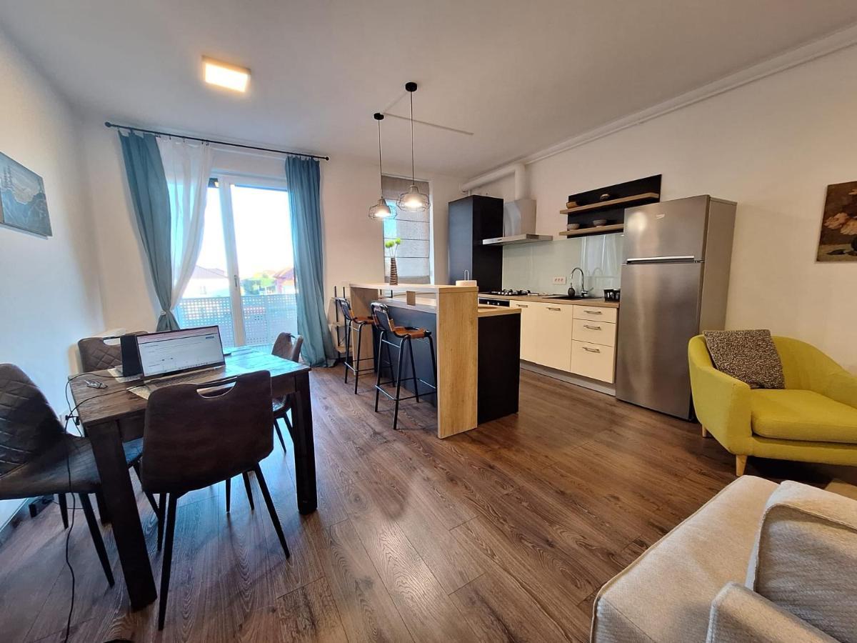 Mirvana Apartments Metheor Executive Suite Тимишоара Екстериор снимка