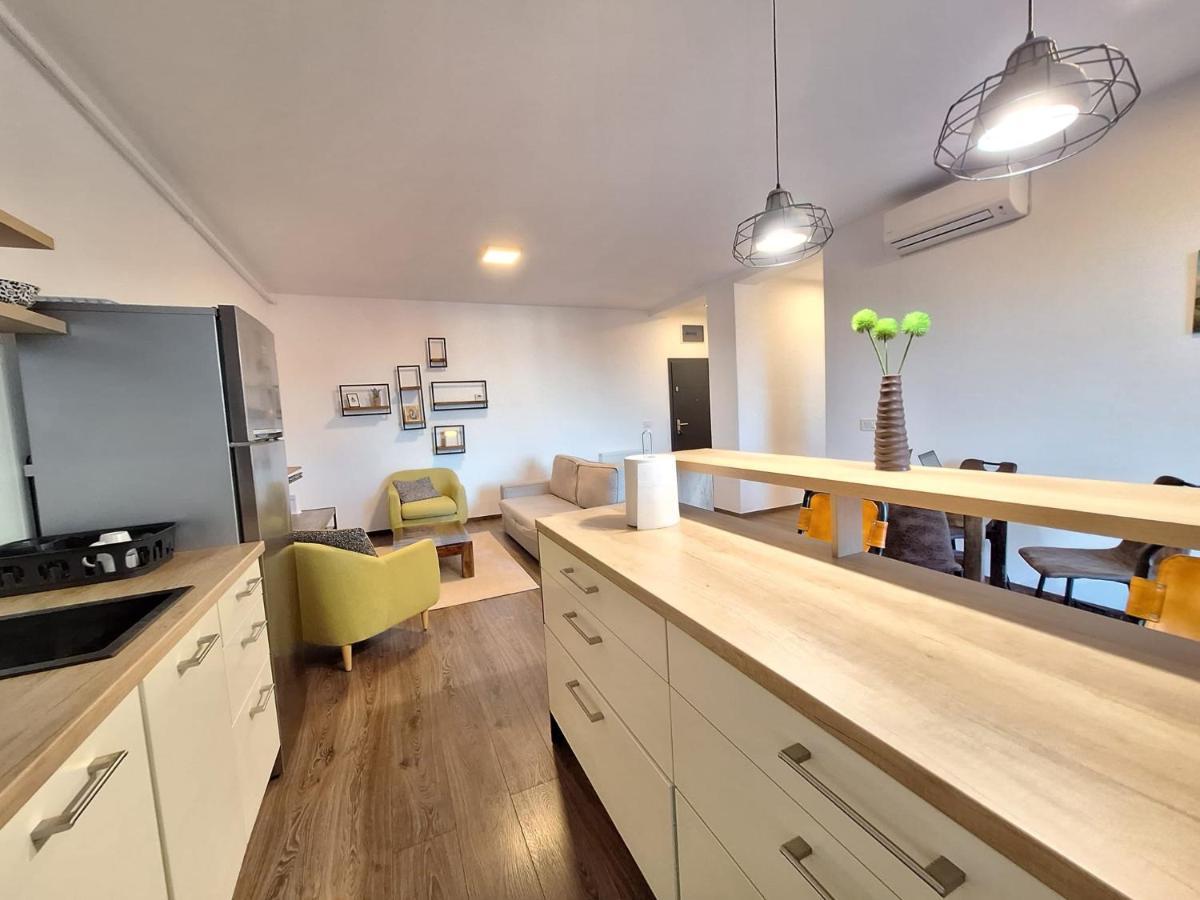 Mirvana Apartments Metheor Executive Suite Тимишоара Екстериор снимка