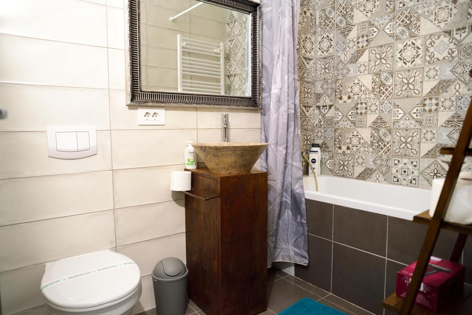 Mirvana Apartments Metheor Executive Suite Тимишоара Екстериор снимка