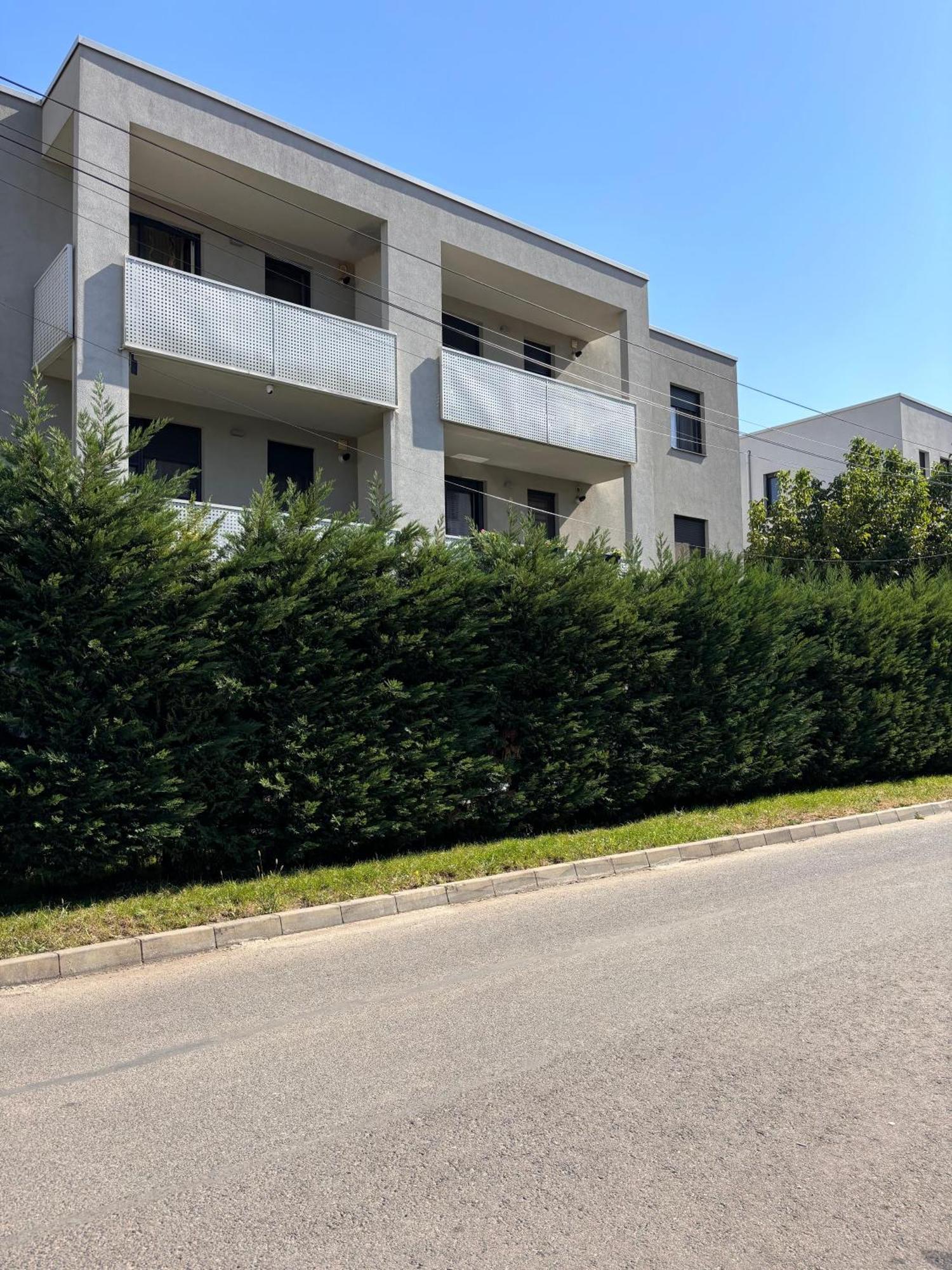 Mirvana Apartments Metheor Executive Suite Тимишоара Екстериор снимка