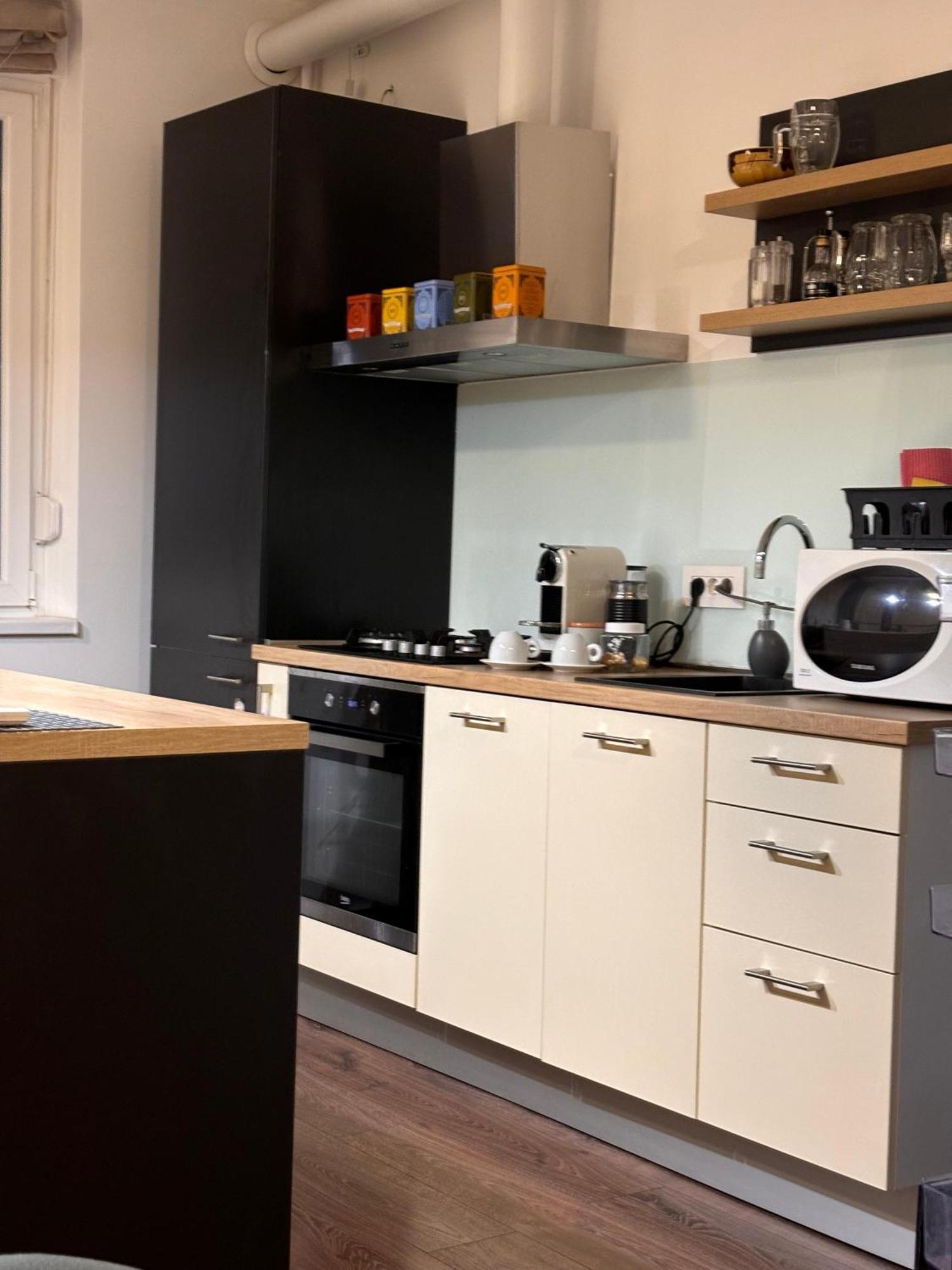 Mirvana Apartments Metheor Executive Suite Тимишоара Екстериор снимка